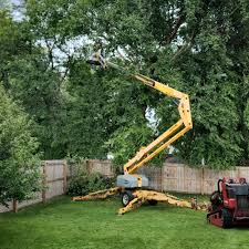 How Our Tree Care Process Works  in  Lillian, AL